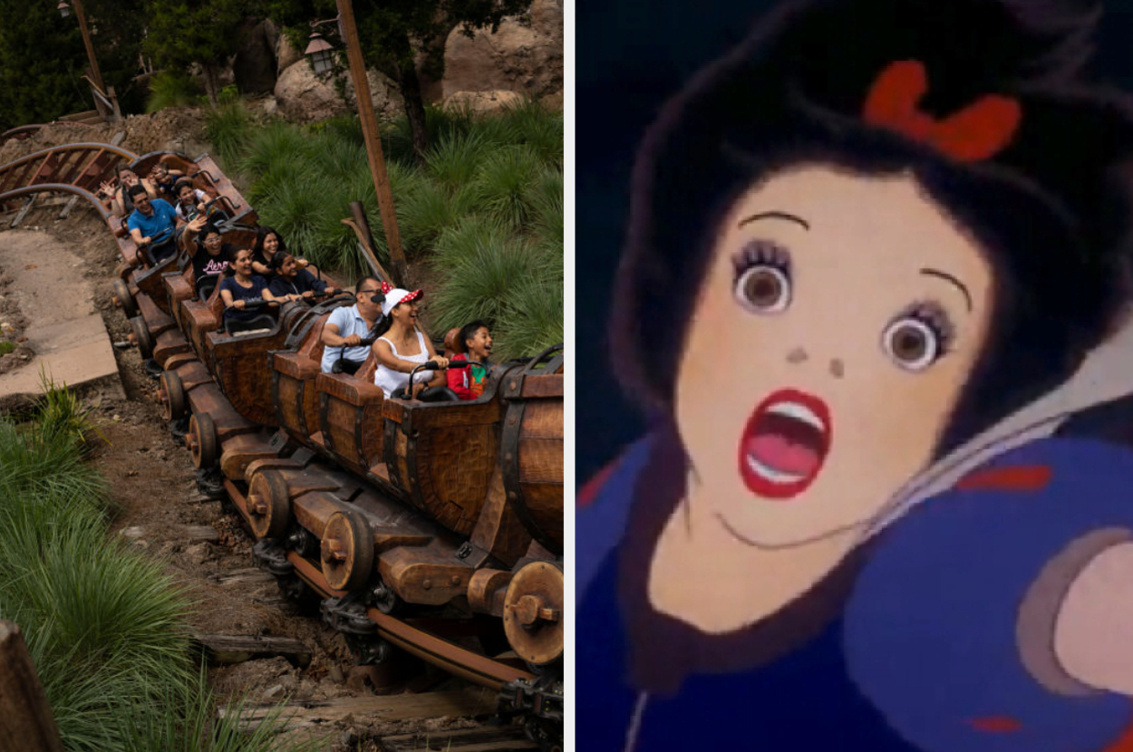 Mine train roller coaster and Snow White screaming.