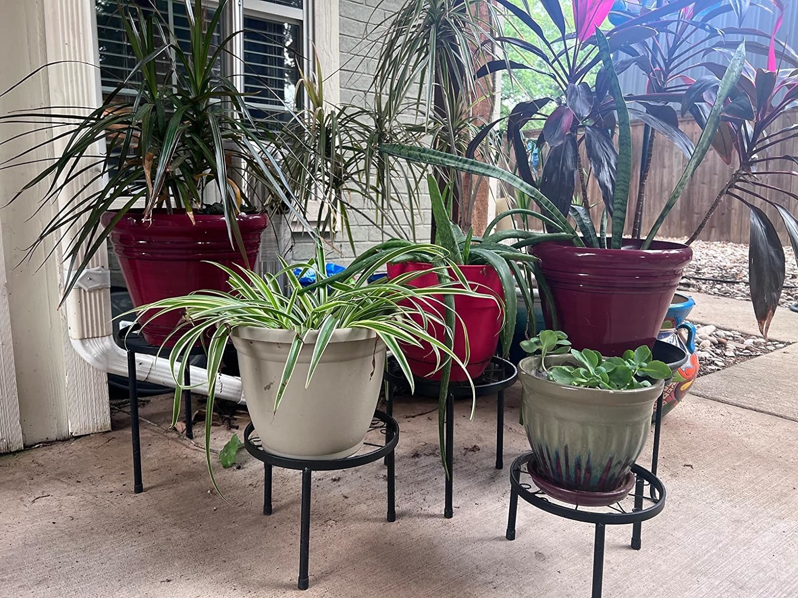 Assorted potted plants on stands of varying heights on a porch
