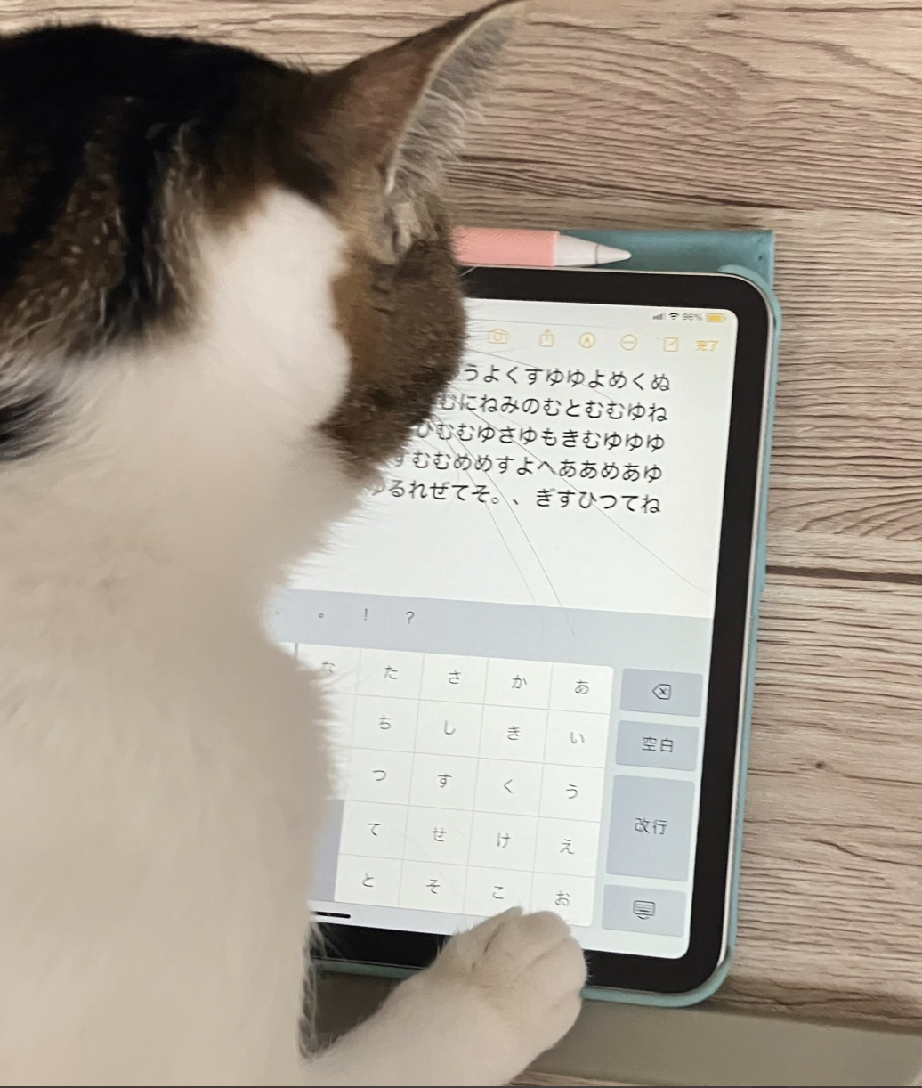 タブレットを見つめる猫が画面上で日本語の文字をタイプしている様子。