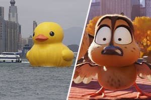 A giant rubber duck in front of Hong Kong and a baby duck from the movie migration looking shocked.