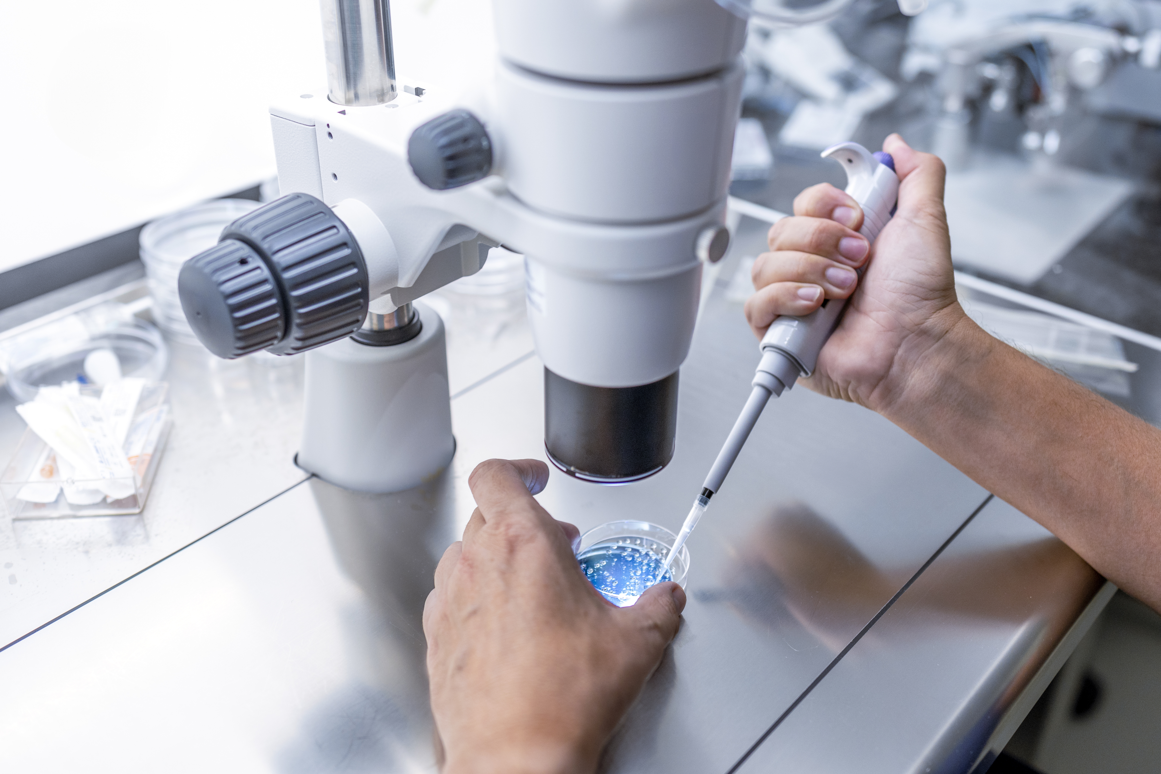 Person using a pipette and microscope in a laboratory setting for scientific research