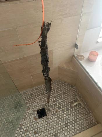 large hair clog hanging from the orange drain snake in a shower