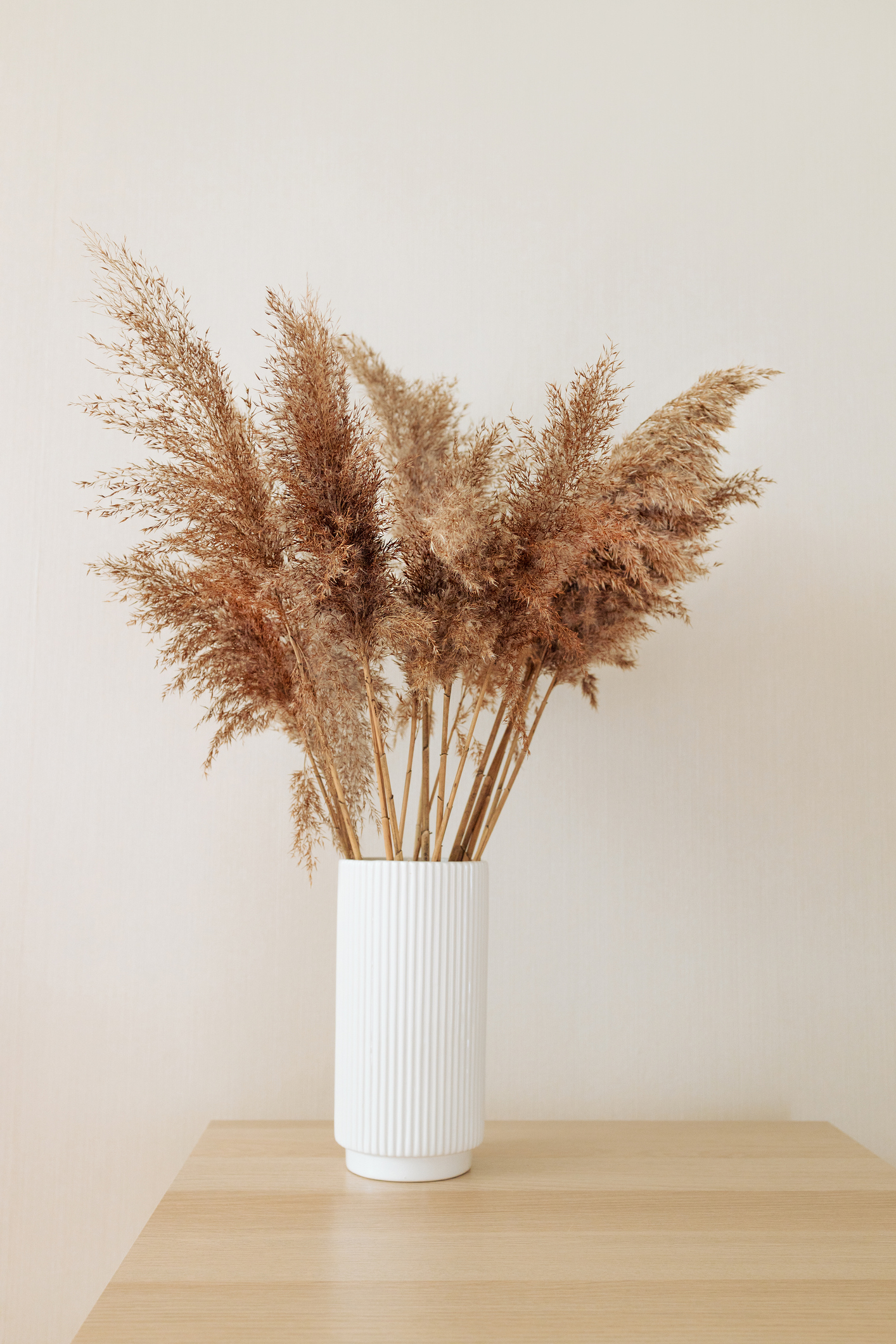 A vase of pampas grass on a wooden table against a neutral wall