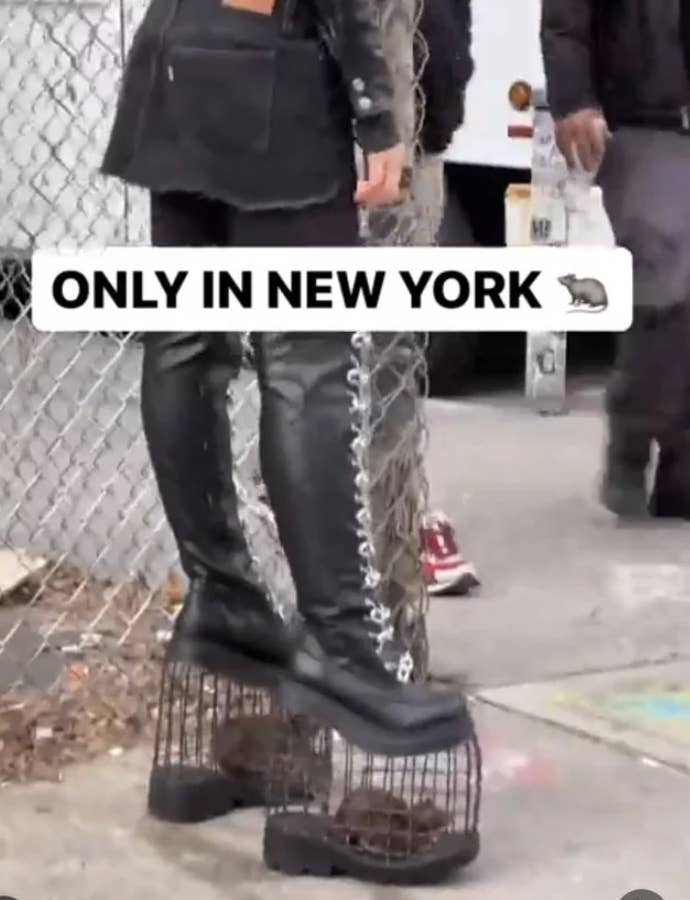 Person in platform shoes, each one with a small cage containing a rat attached to the heel, with text &quot;ONLY IN NEW YORK&quot; at top