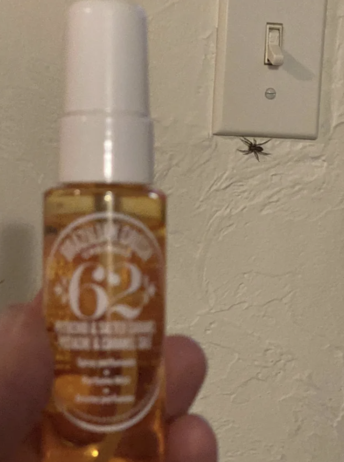 Person holding a bottle of hair oil spray with a spider on the wall in the background