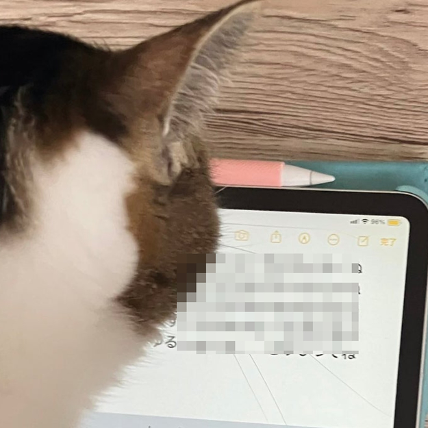 画像】猫ちゃんがiPadで作成した謎文章を全部読む「暗号作ってて草 