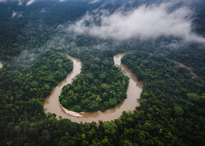 Aerial view of a winding river through a dense forest with low clouds