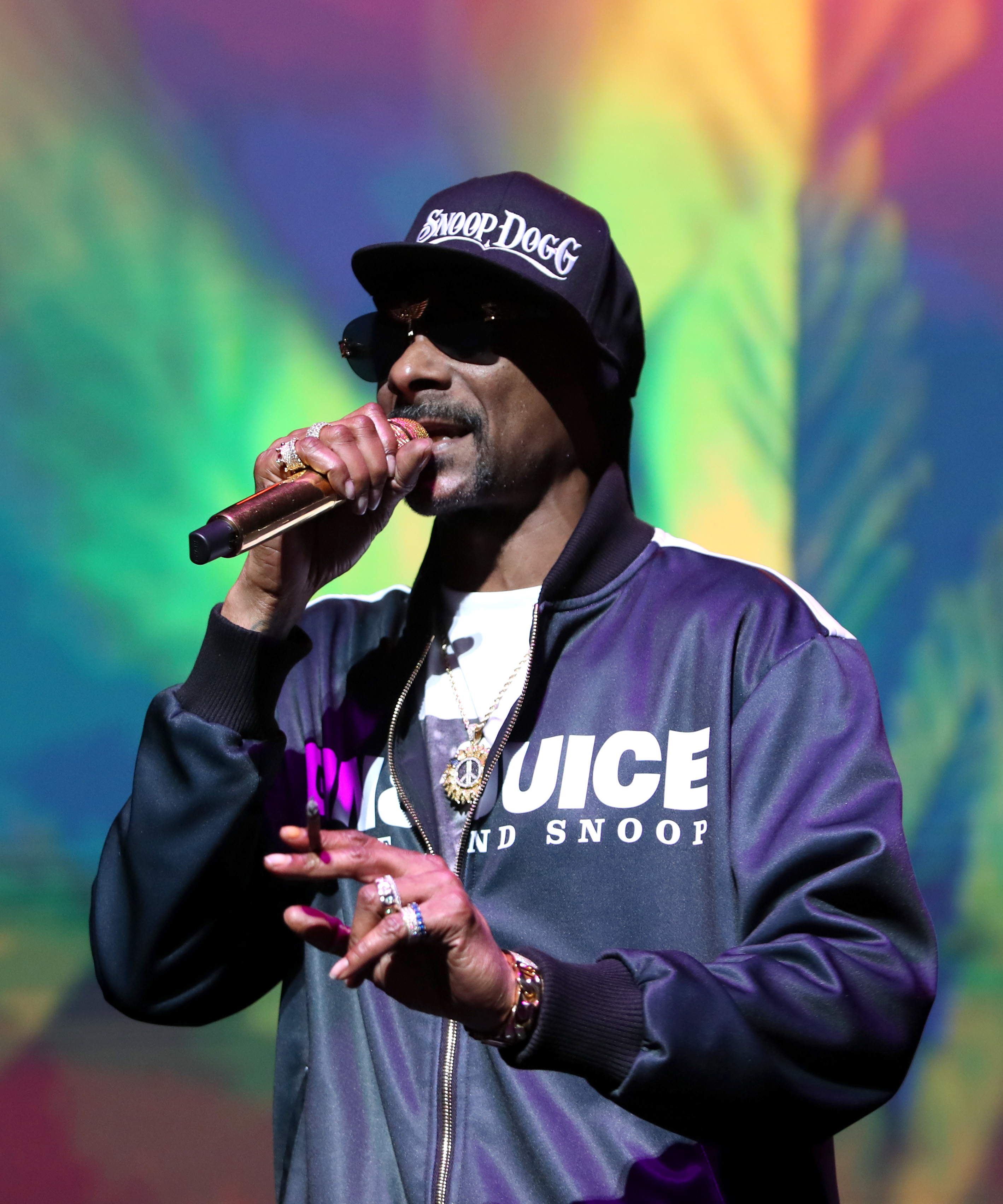 Snoop Dogg onstage