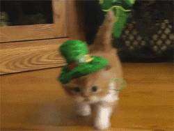A kitten with a green hat falls over playfully