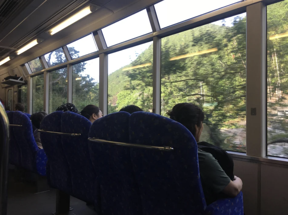 Passengers on a train with a scenic view of trees through the window
