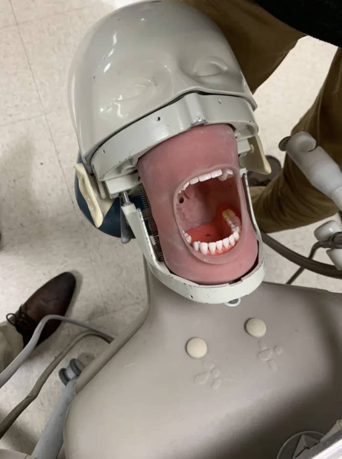 Dental practice mannequin with open mouth and simulated teeth, used for training purposes