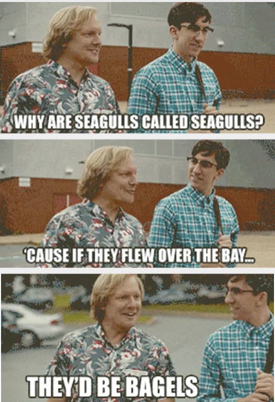 why are seagulls called seagulls? &#x27;cause if they flew over the bay, they&#x27;d be bagels