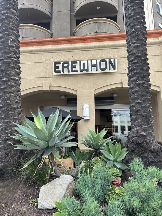 Storefront with the sign &quot;EREWON&quot; flanked by palm trees and succulent plants in front