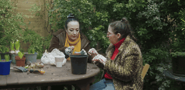 Two individuals potting a plant outdoors, one is handing a bulb to the other, casual attire