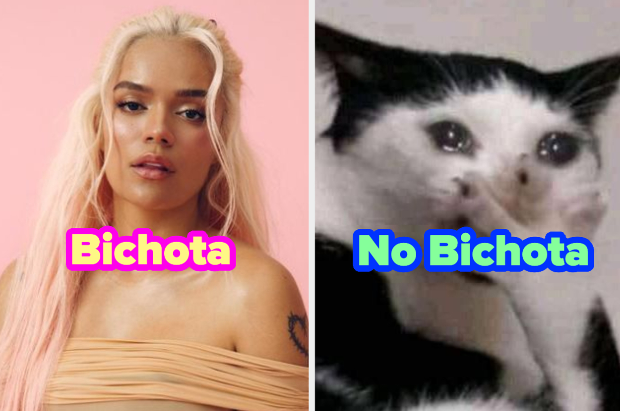 Looks para el concierto de Karol G ¿Eres Bichota?  ¿Oh no?  ah nada?