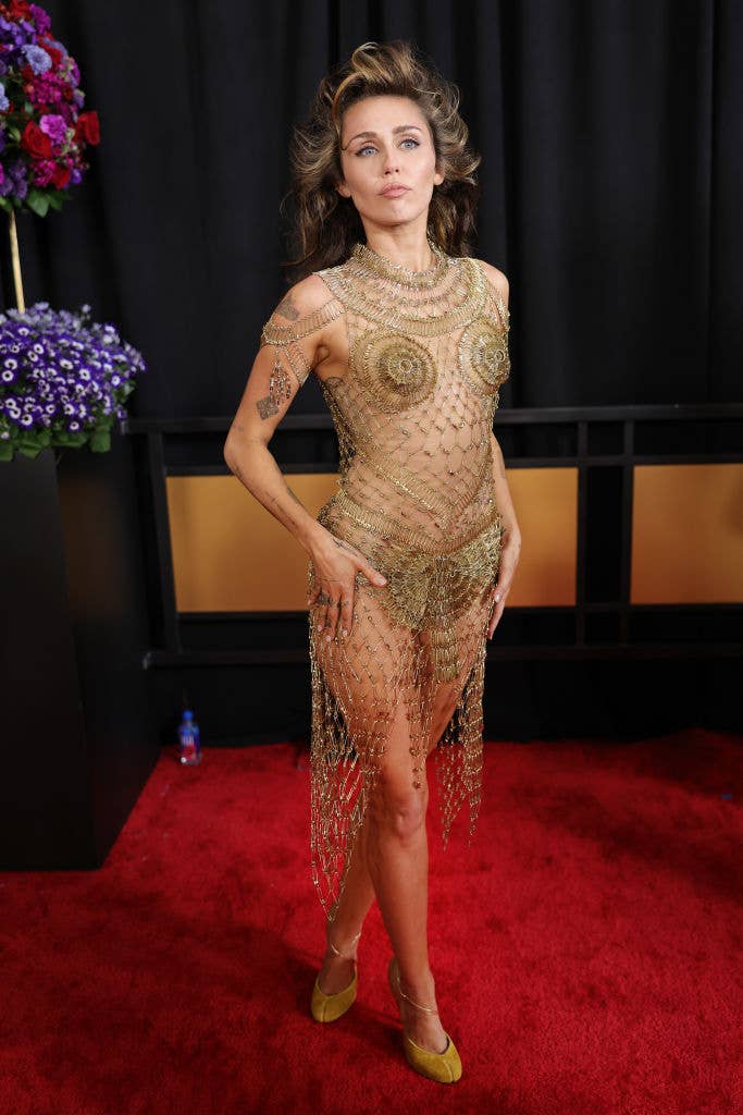 Miley Cyrus on the red carpet in a see-through dress