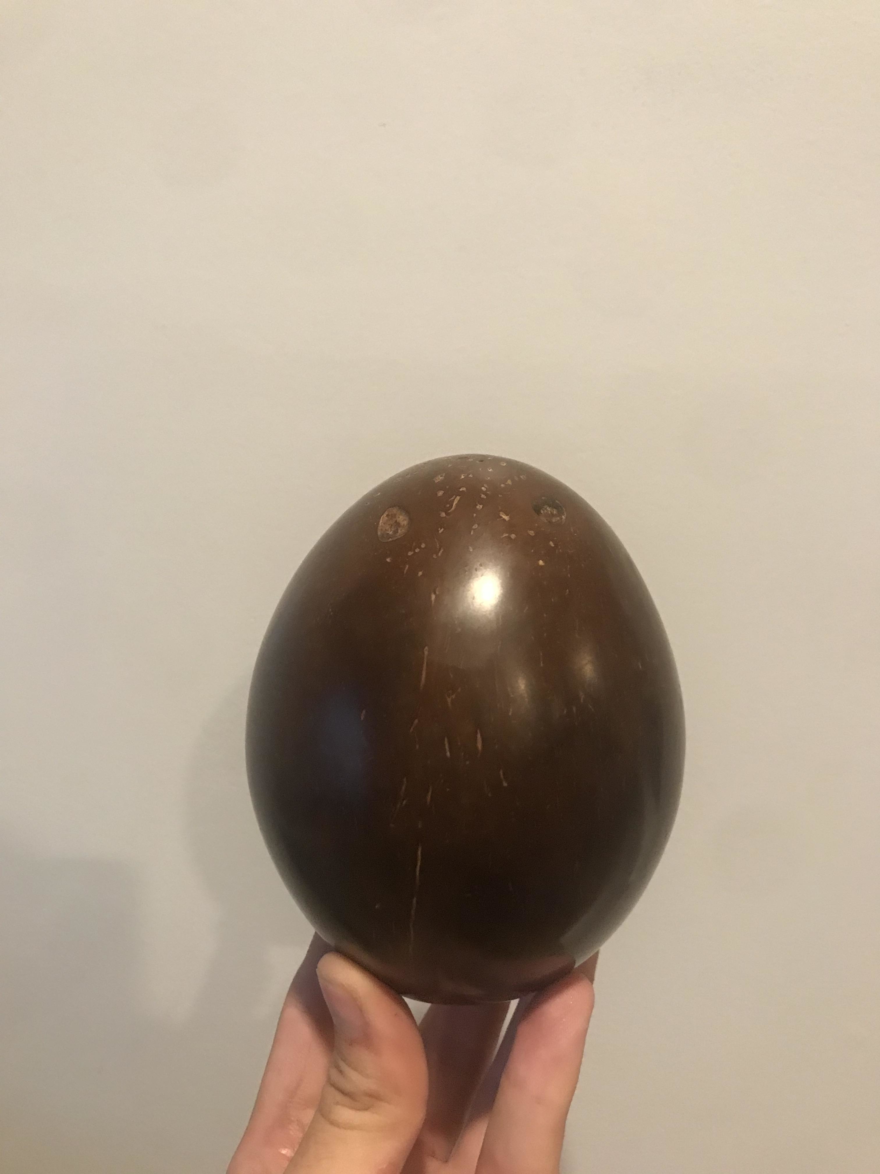 A brown egg-shaped object