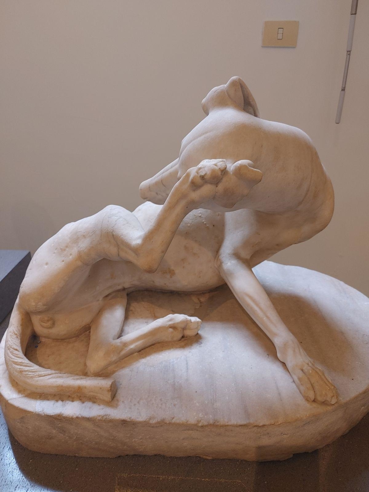 Sculpture of a dog with its leg raised and its head turned toward its torso
