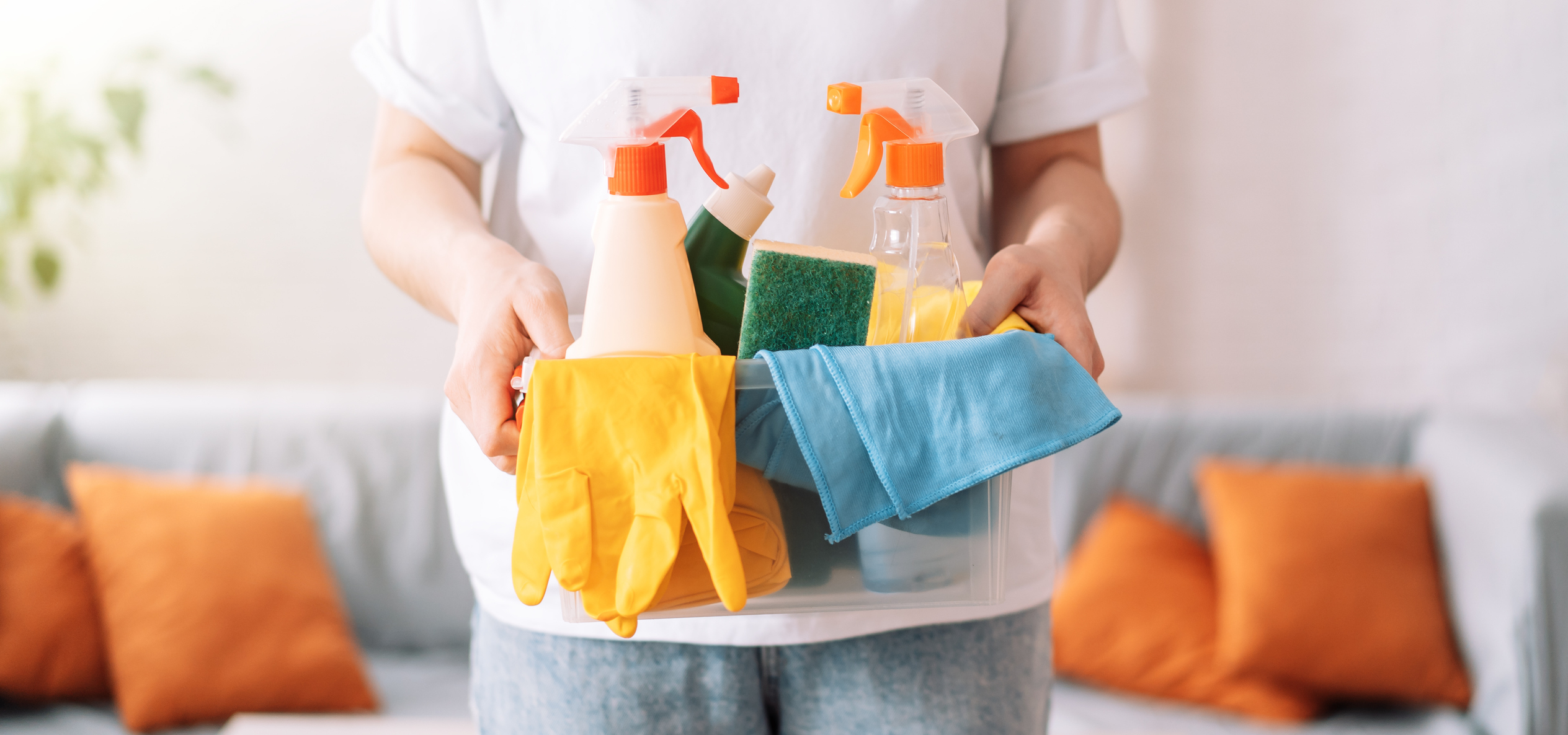 hands holding cleaning supplies