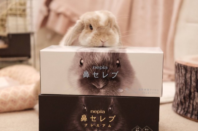 CMのオファーが来そう！「自分のことを鼻セレブだと思っている