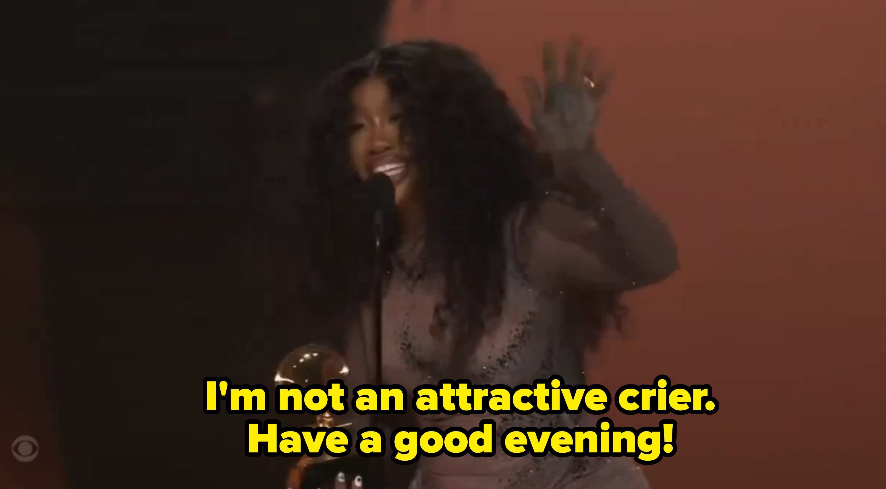 SZA saying &quot;I&#x27;m not an attractive crier; have a good evening!&quot;
