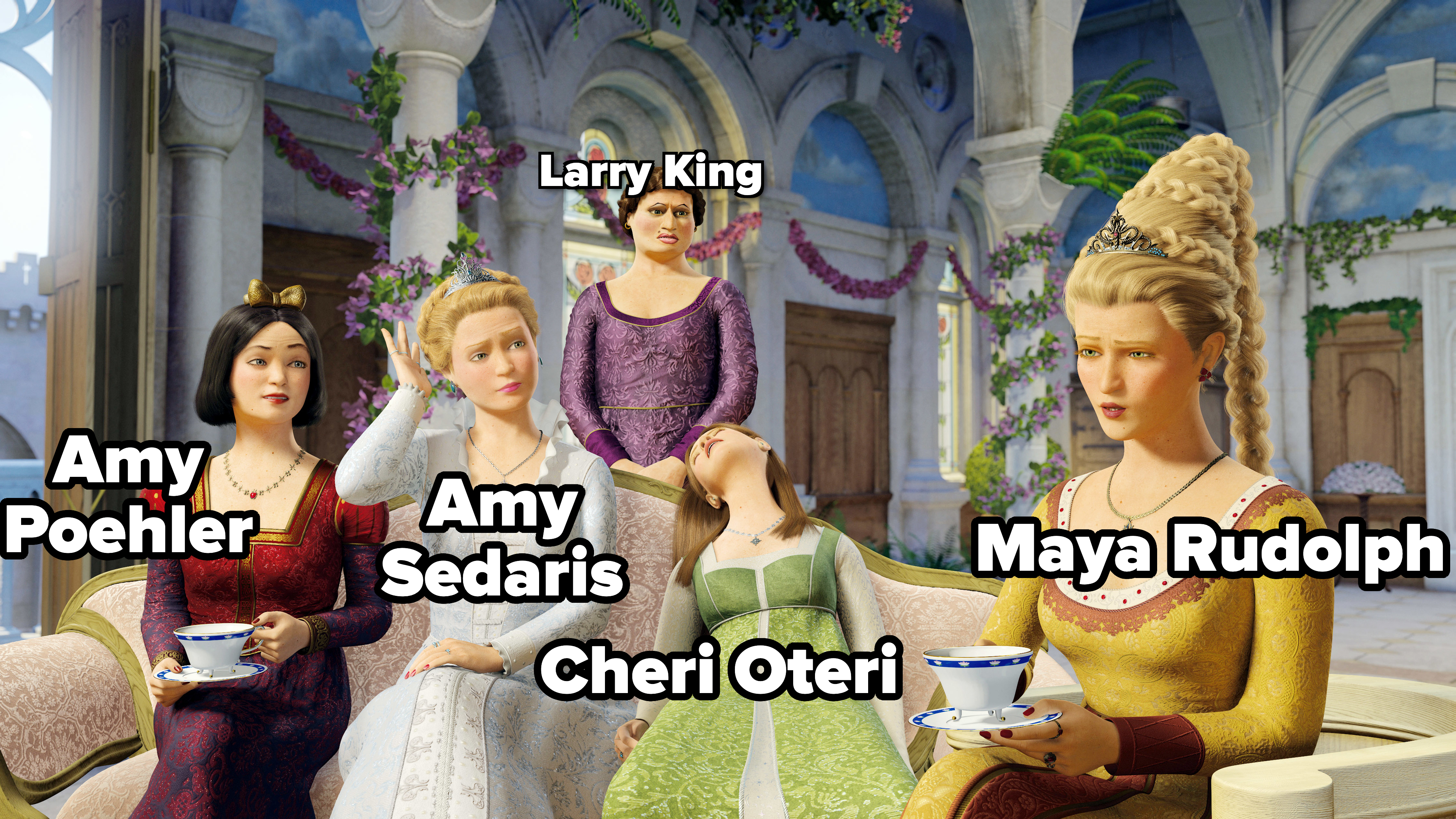Screenshot from Shrek the Third showing the female characters voiced by Amy Poehler, Amy Sedaris, Cheri Oteri, Maya Rudolph, and Larry King