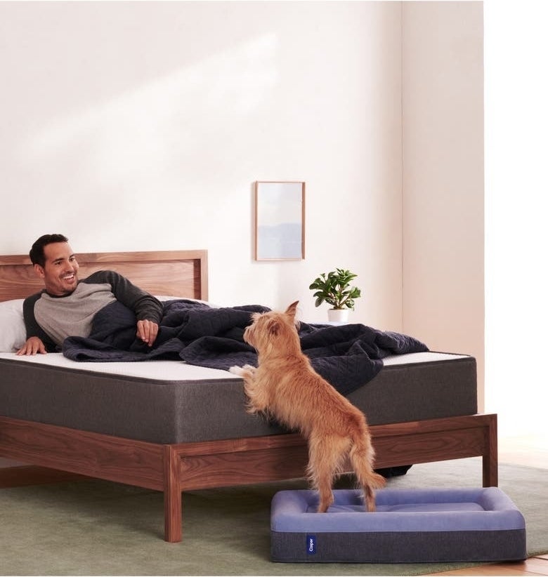 model in bed with the dog bed and a dog below it