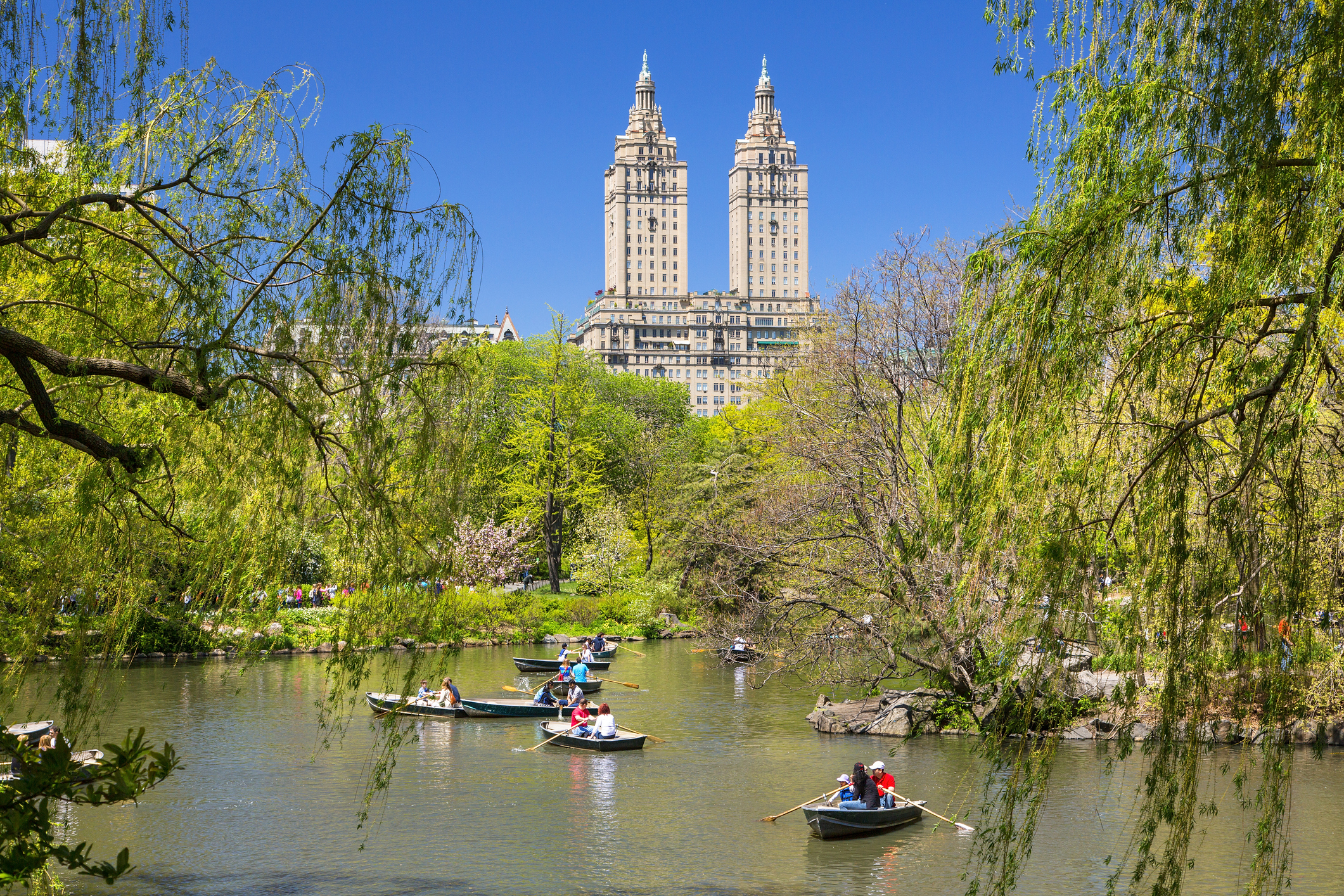 People on row boats in Central Park