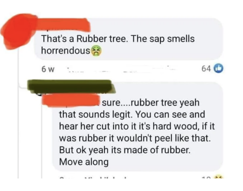 &quot;That&#x27;s a Rubber tree.&quot;