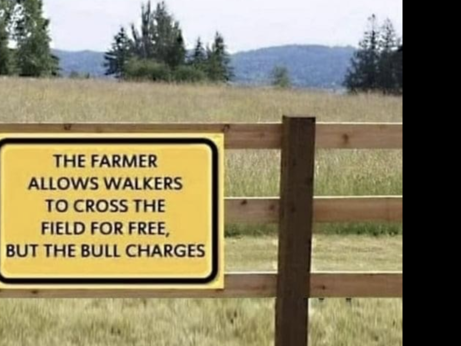 "But the bull charges"