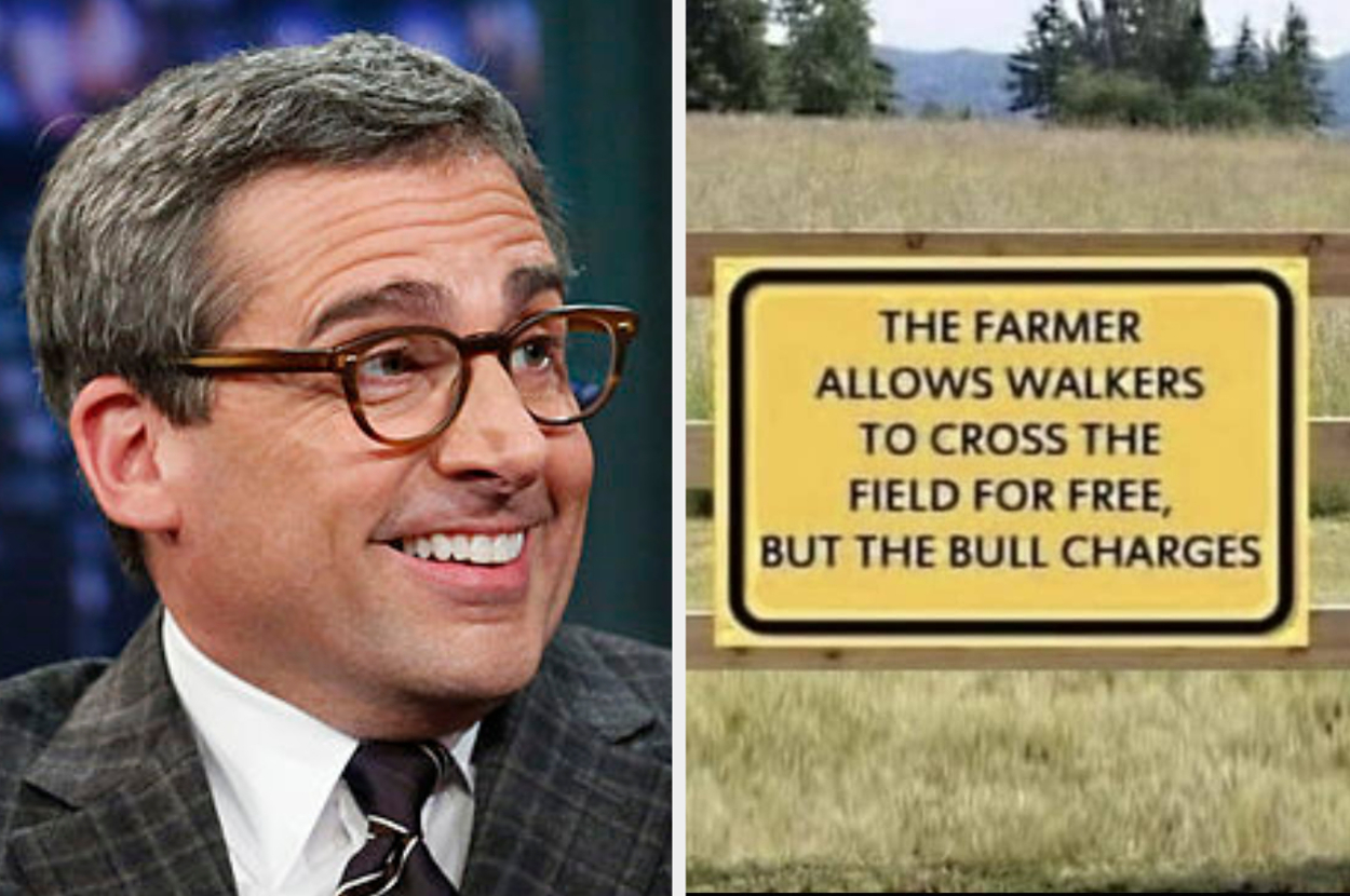 The Best Reddit Threads on the