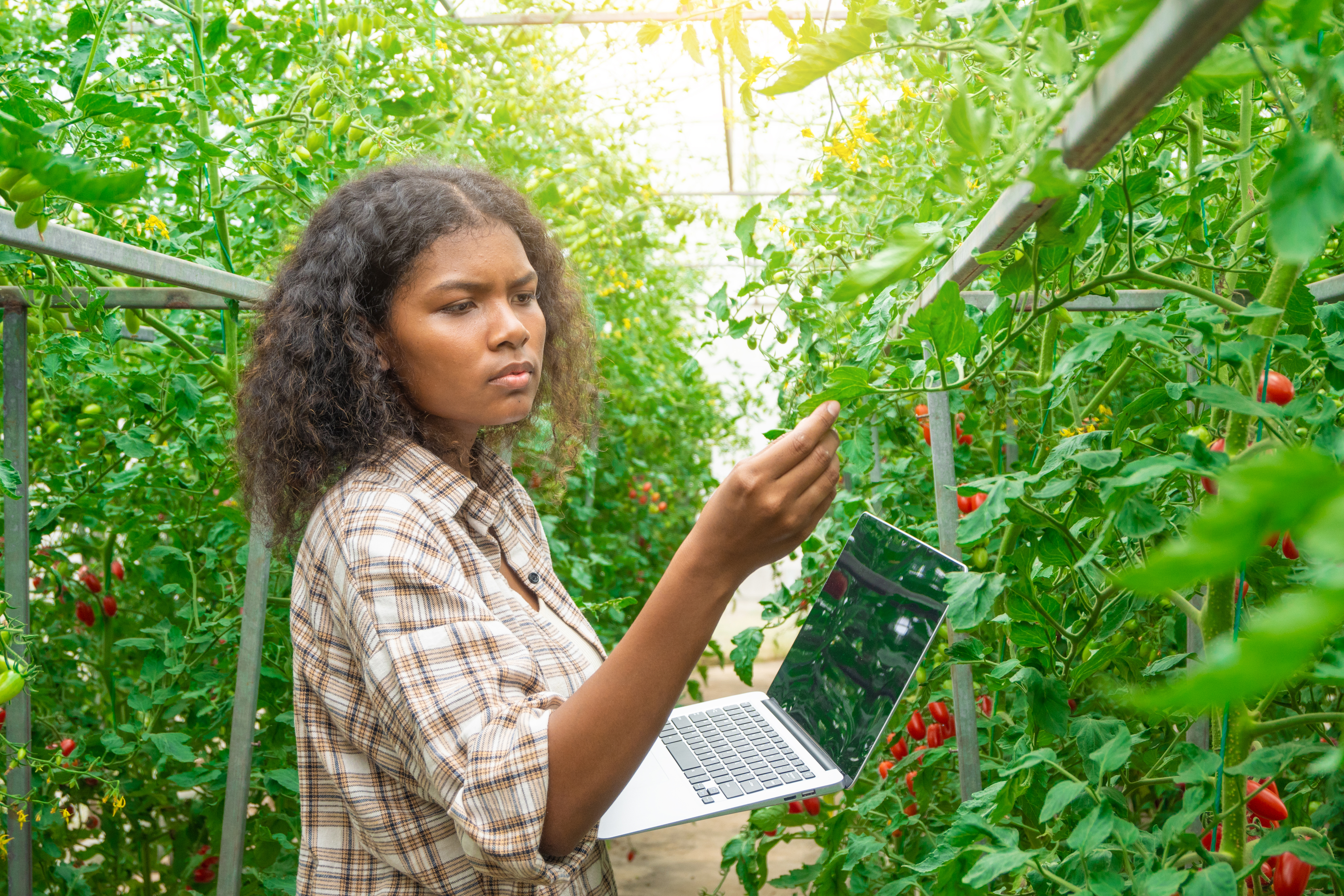 A woman holding a laptop and inspecting a plant with her free hand