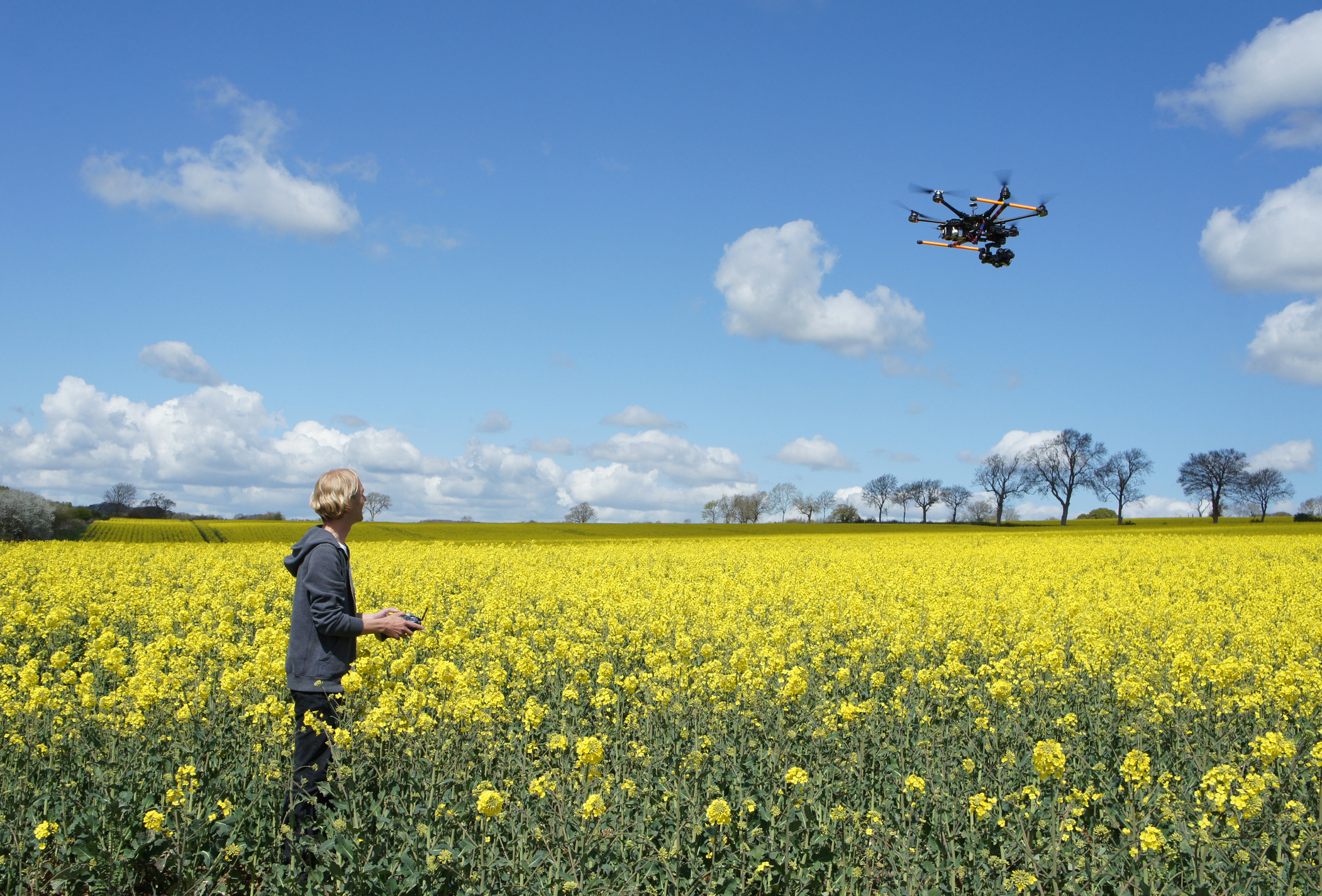 person driving a drone over a field of flowers