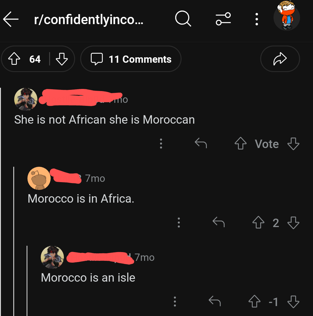 Person says someone isn&#x27;t African because they&#x27;re Moroccan