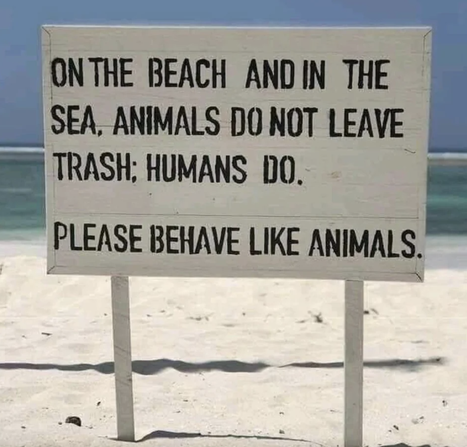 Beach sign in the sand: &quot;On the beach and in the sea, animals do not leave trash; humans do / Please behave like animals&quot;