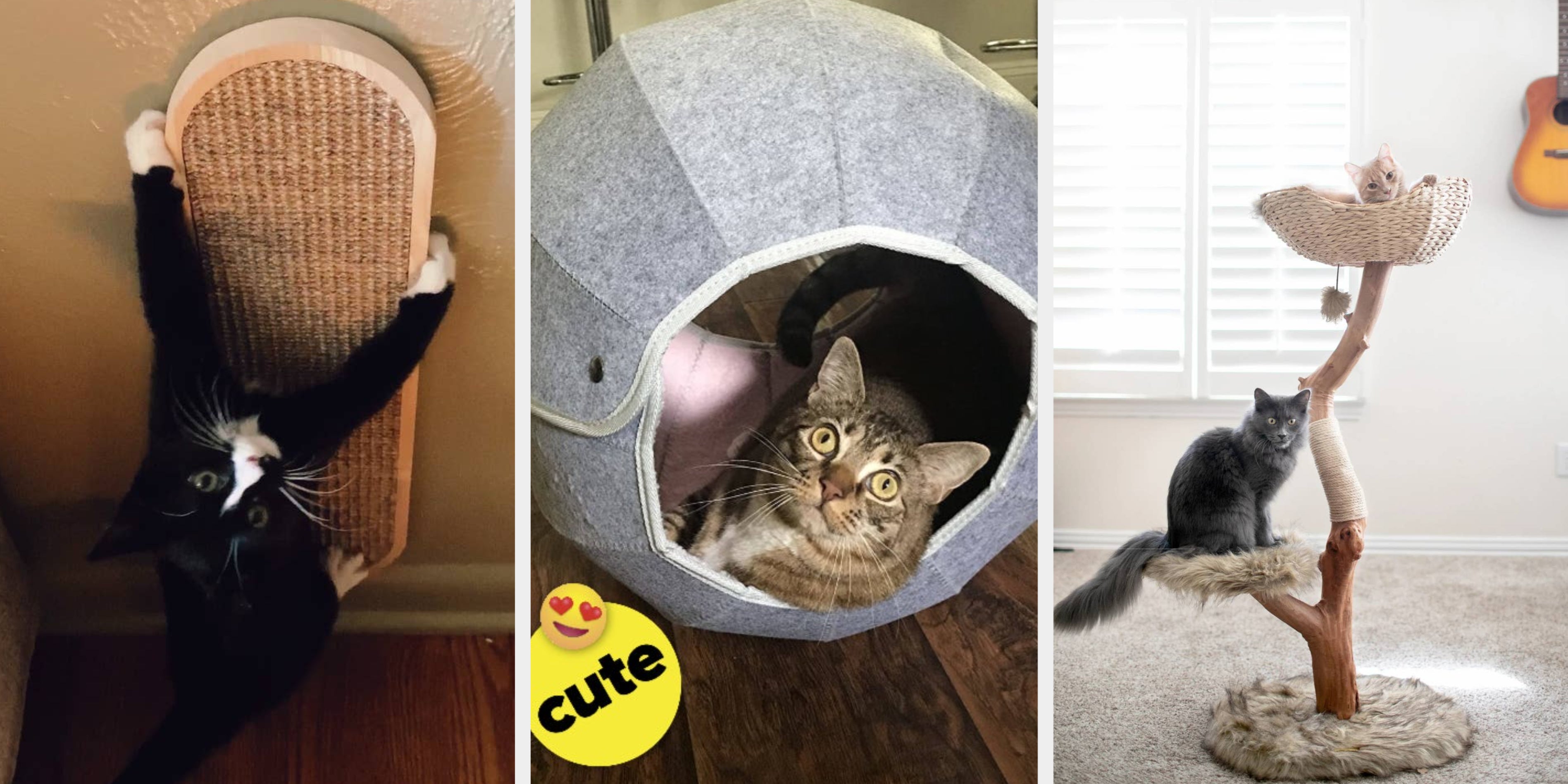 21 Best Cat Toys For Bored Cats In 2024