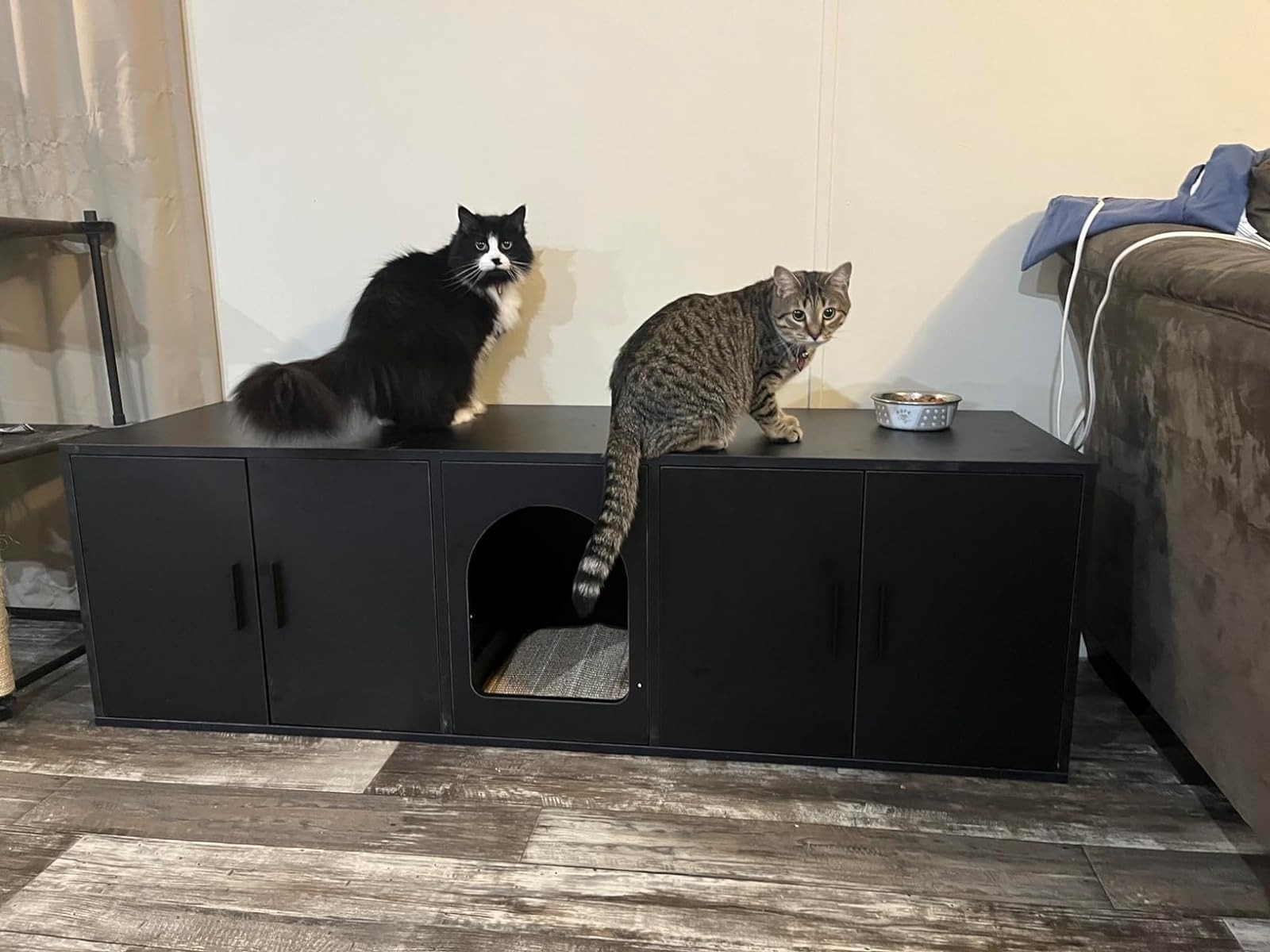 black cat and striped gray cat sitting on black litter box enclosure