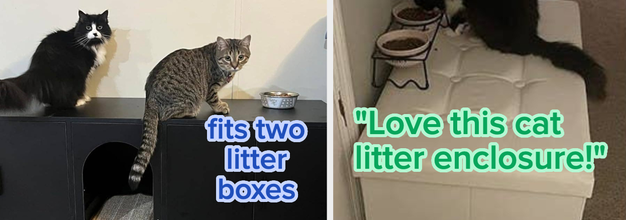 Best cat litter outlet furniture