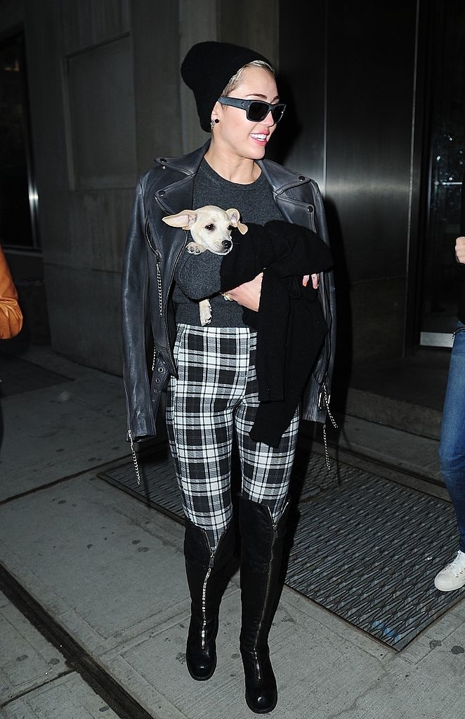 miley walking outside holding her small dog
