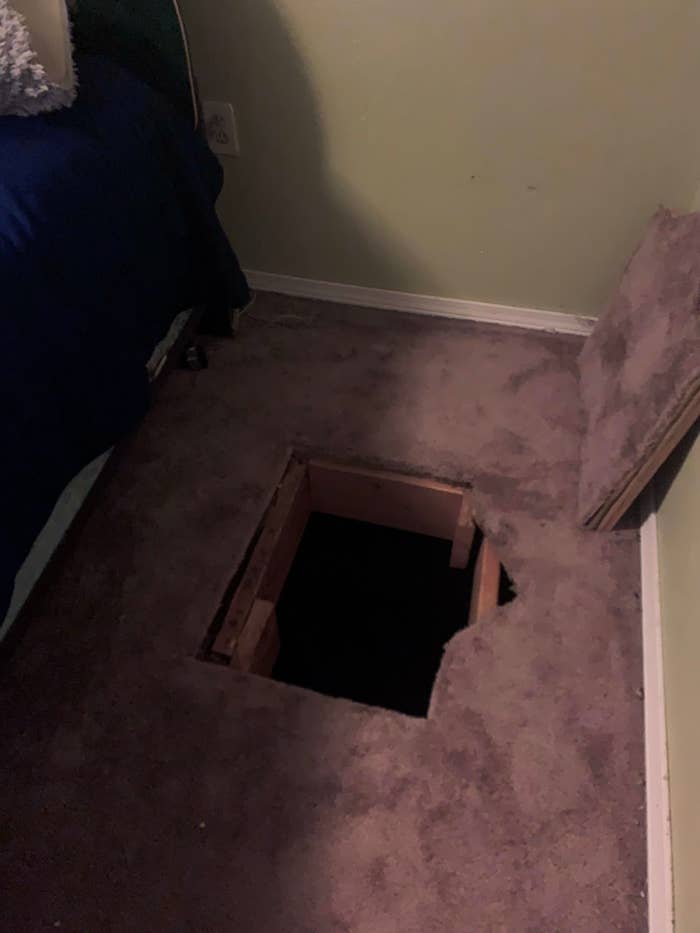 a crawl space that&#x27;s been revealed by ripping up a section of carpeting and flooring