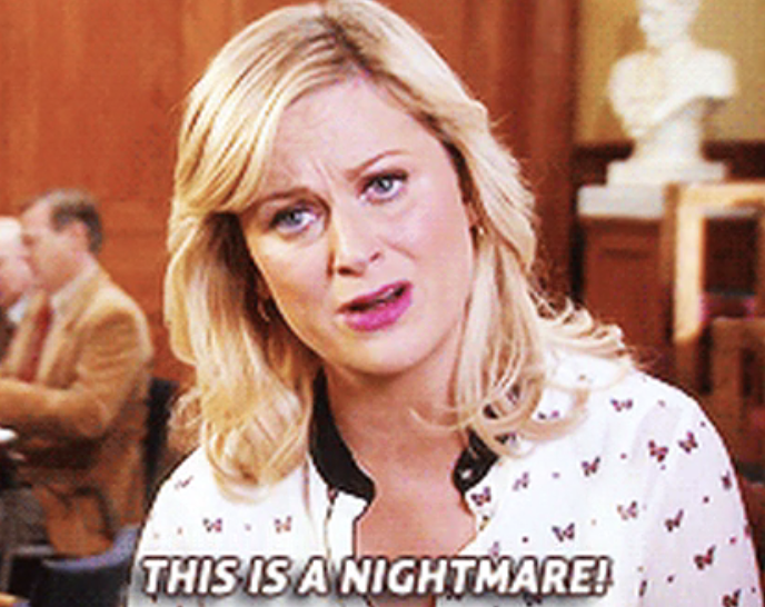 Amy Poehler in &quot;Parks &amp;amp; Rec&quot; saying this is a nightmare