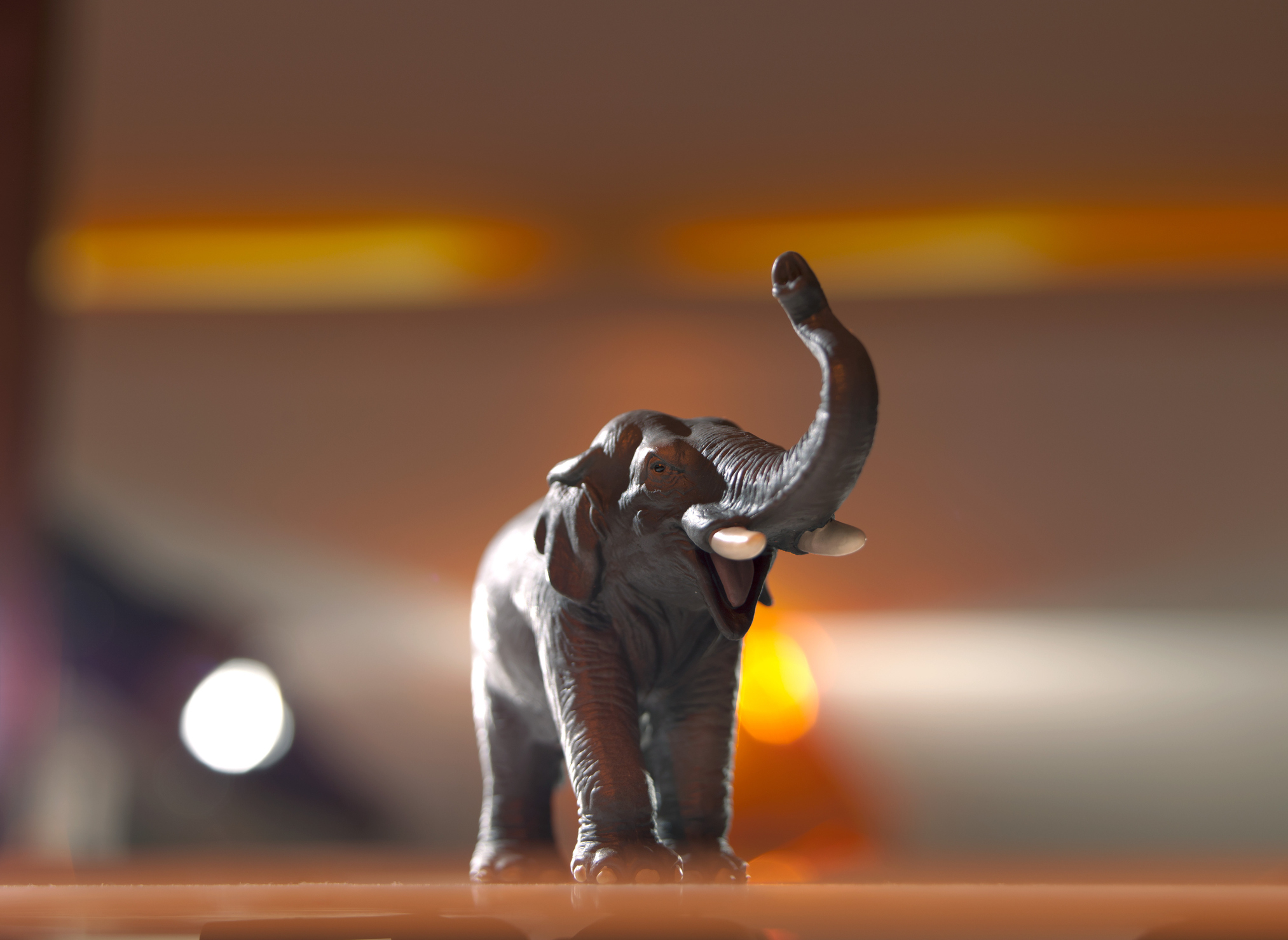 Small elephant figurine with raised trunk on a surface, backlit by warm lighting