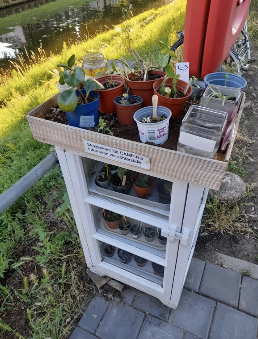 Variety of potted plants on top of a small white cabinet with a sign, beside a waterway