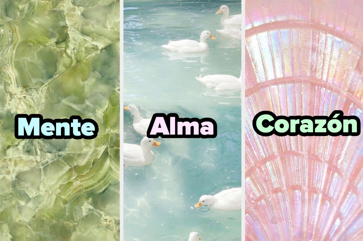 Collage con tres secciones, cada una con una palabra: "Mente" con textura de piedras, "Alma" con patos en agua, "Corazón" con textura iridiscente