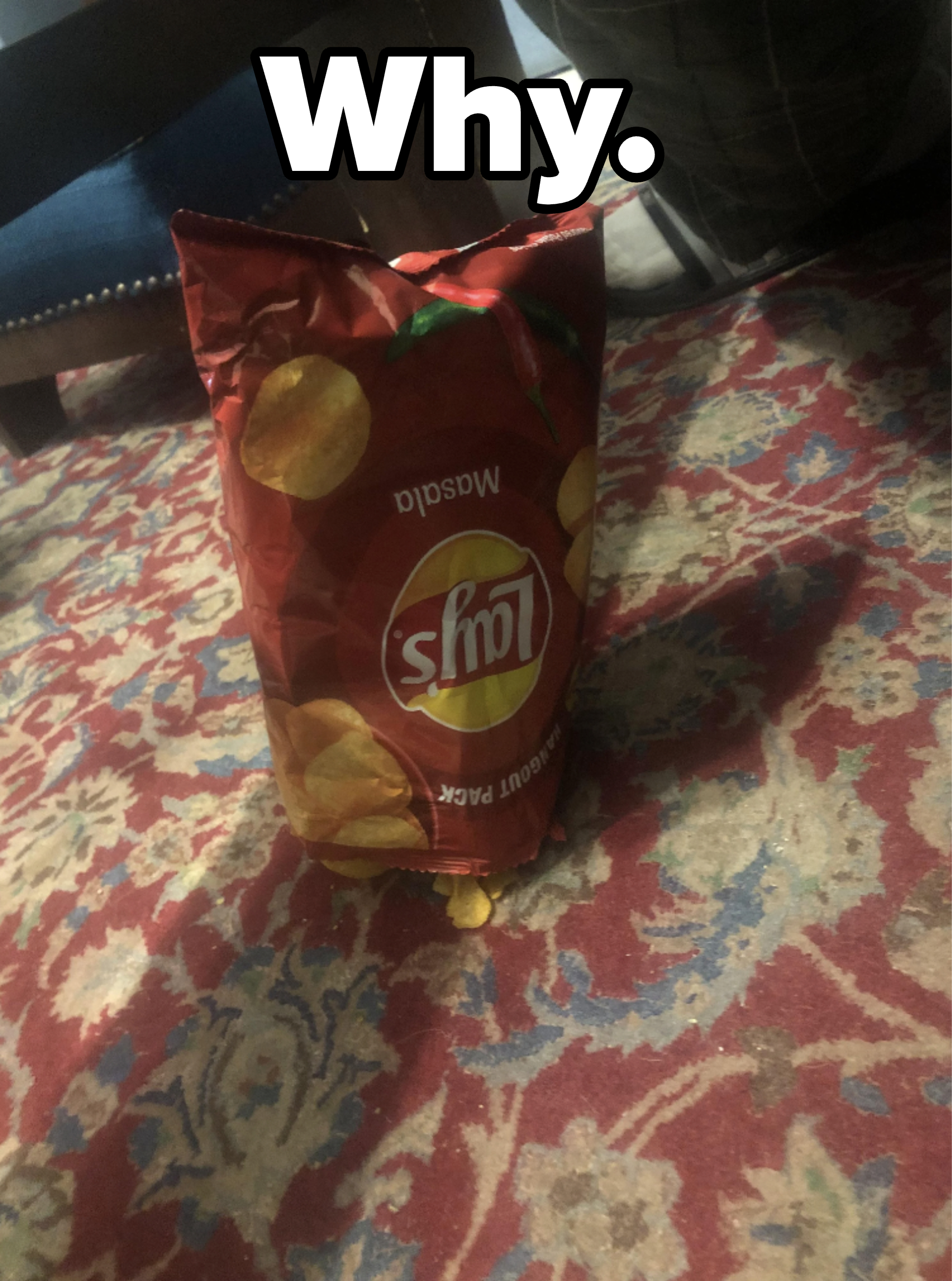 An upside-down open bag of chips on a patterned carpet with a few chips visible at the bottom and caption, &quot;Why&quot;