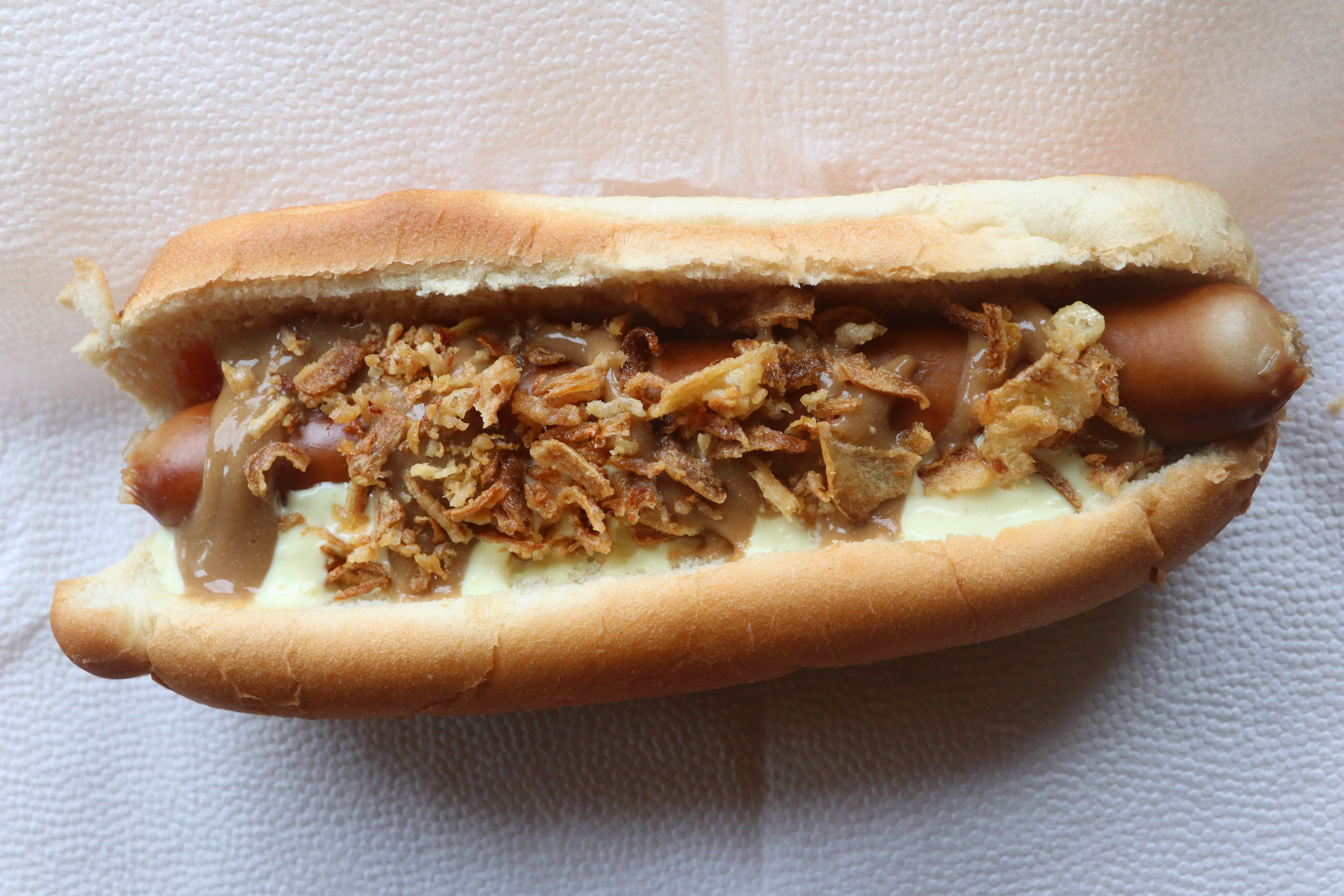 Hot dog with toppings and crispy fried onions on a bun