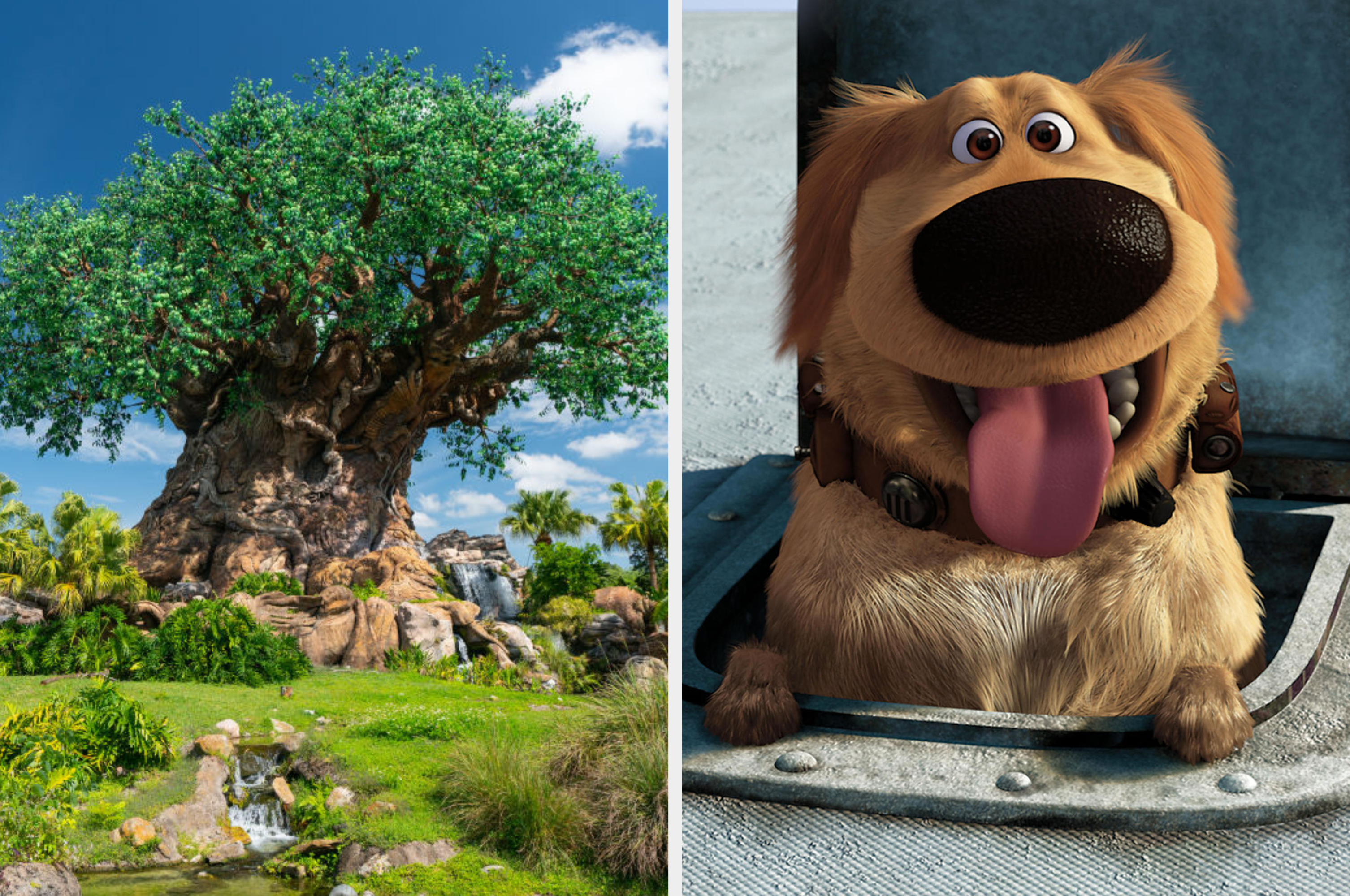 Left: Lush tree with exposed roots in a field. Right: Animated golden retriever character, Dug, from 'Up'