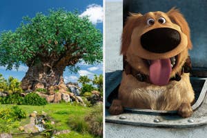 Left: Lush tree with exposed roots in a field. Right: Animated golden retriever character, Dug, from 'Up'