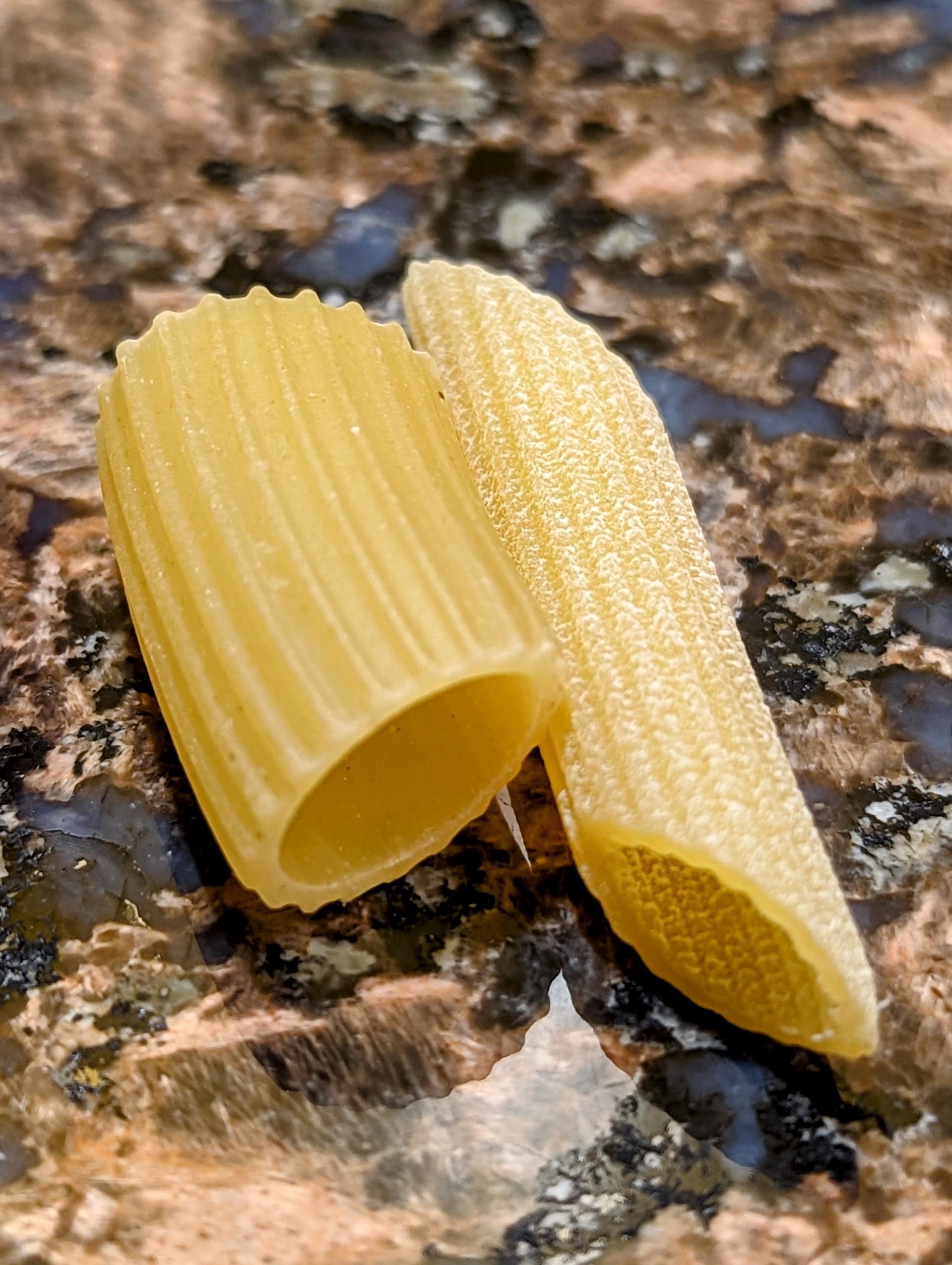 Two pieces of uncooked pasta on a textured surface, with the pasta on the right having a finer, more granulated texture