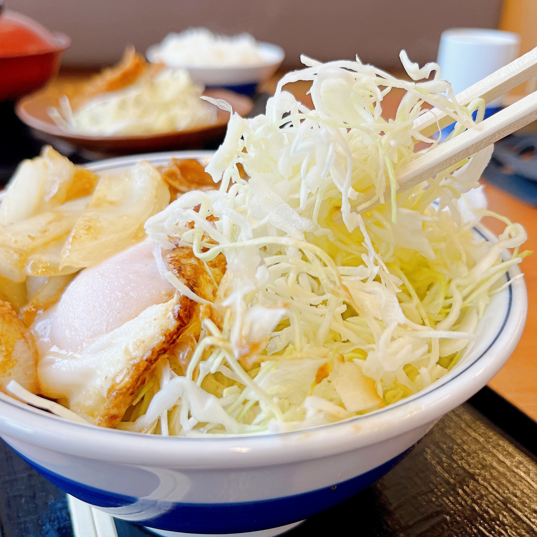 かつやのおすすめメニュー「ホル玉とロースカツの合い盛り丼」